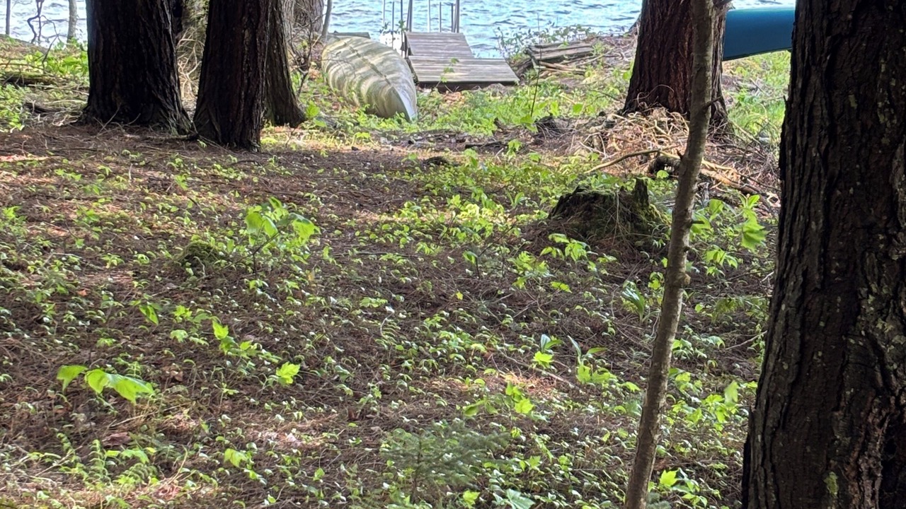 Photo of Outdoor in Lake Pleasant