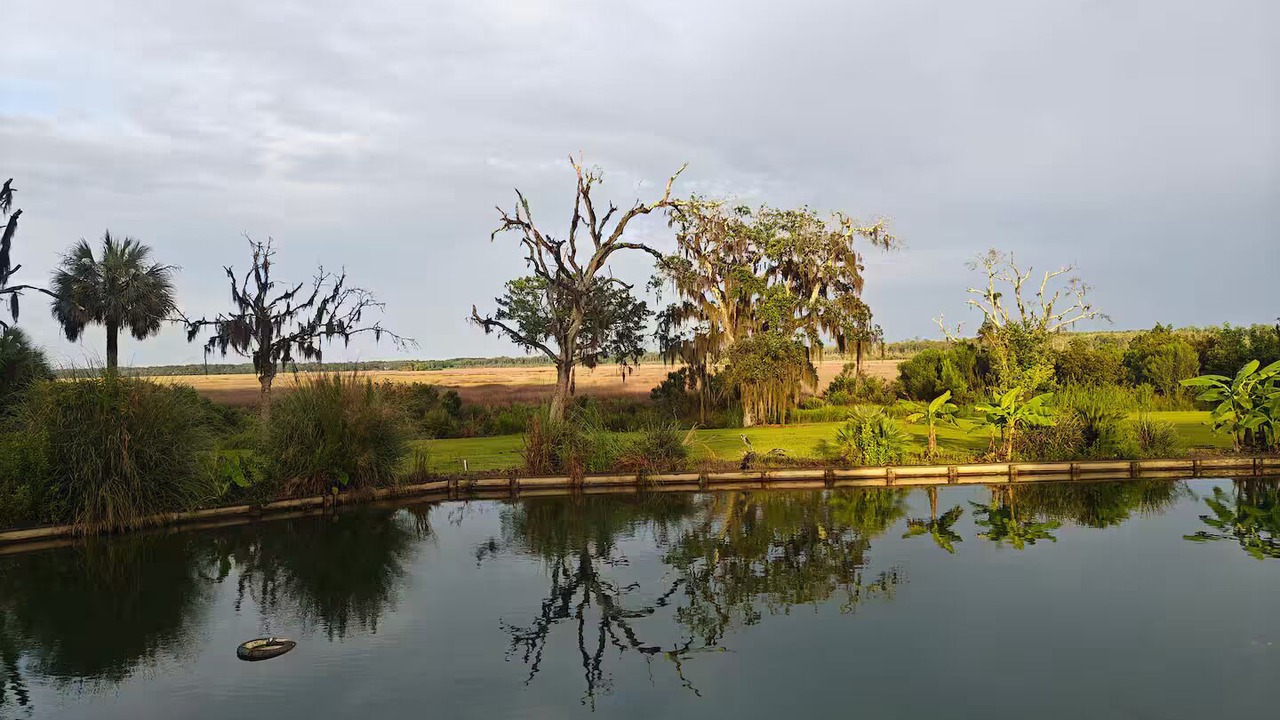 Photo of Others in Eulonia