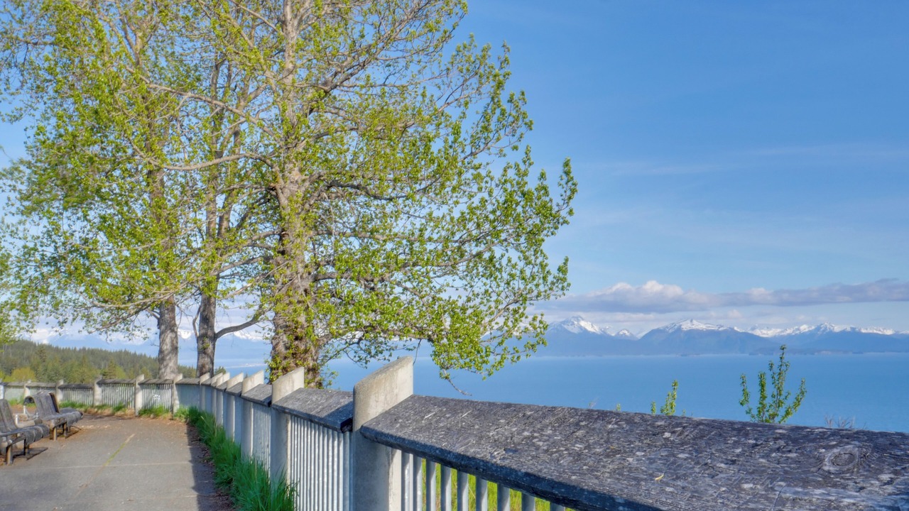 Photo of Outdoor in Homer
