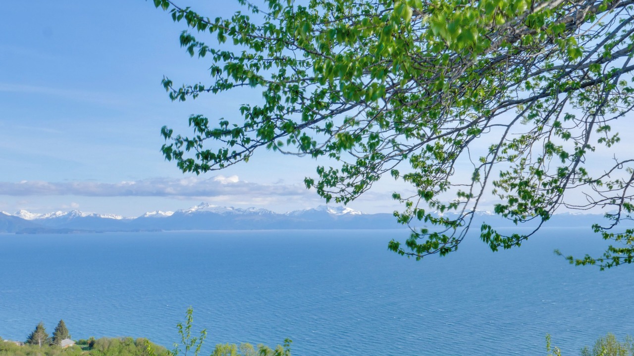 Photo of Others in Homer