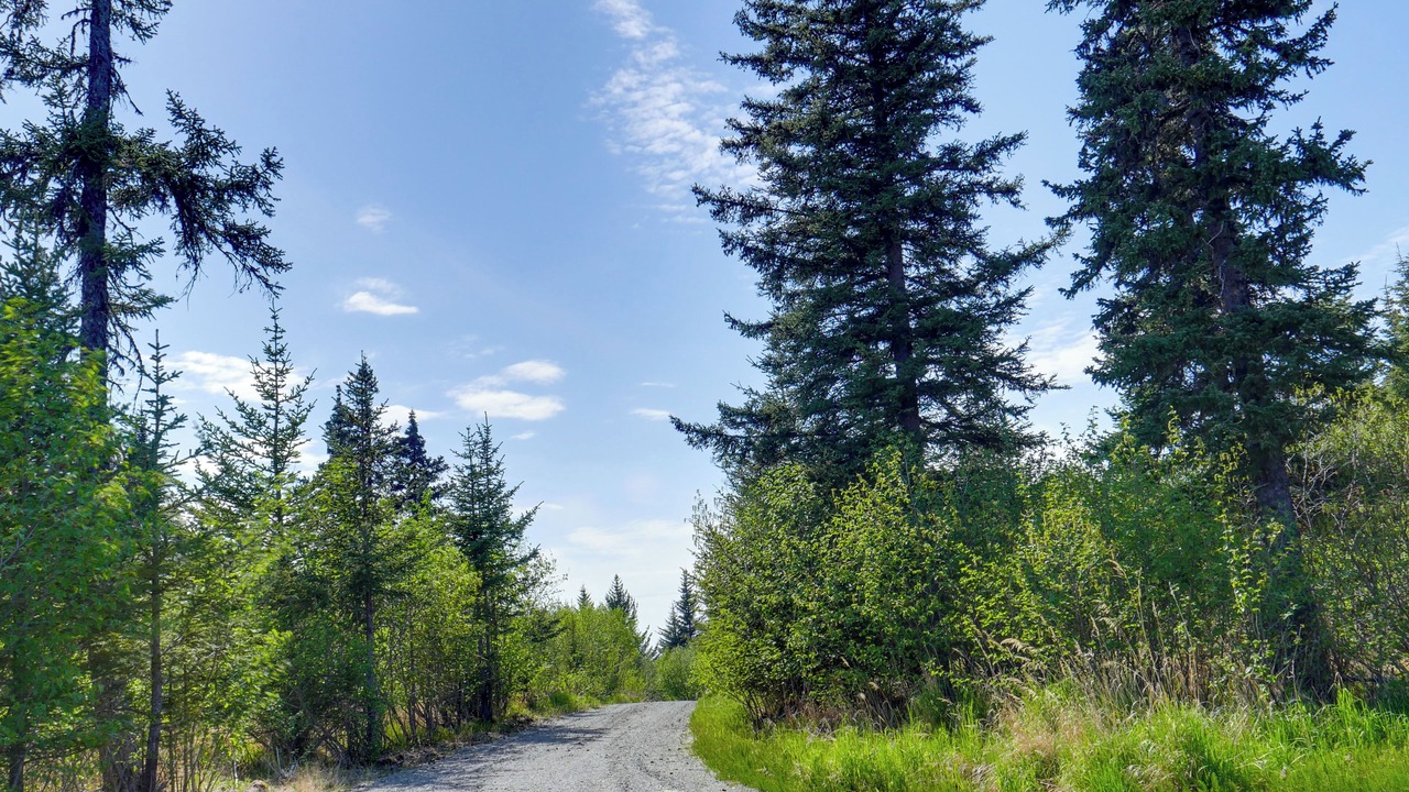 Photo of Outdoor in Homer