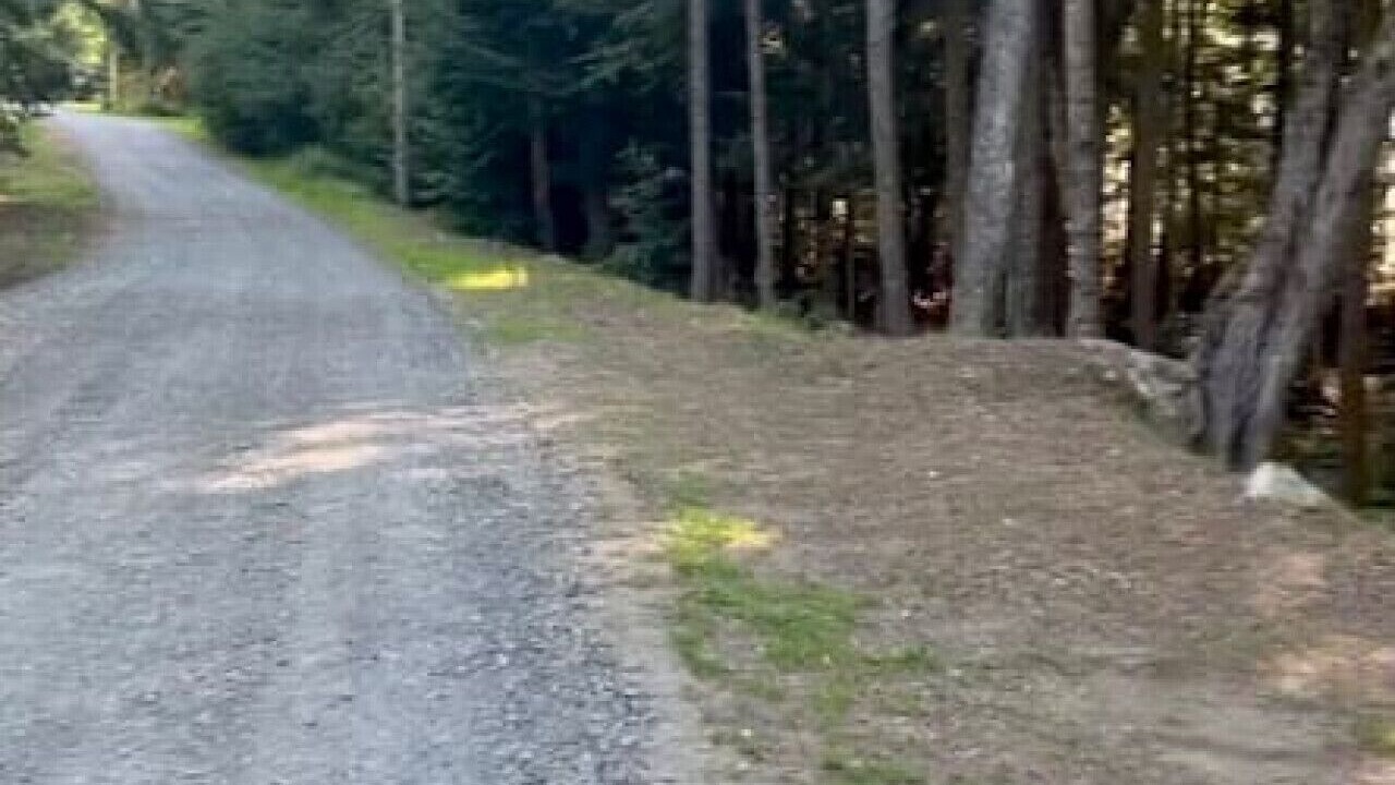 Photo of Outdoor in Holden