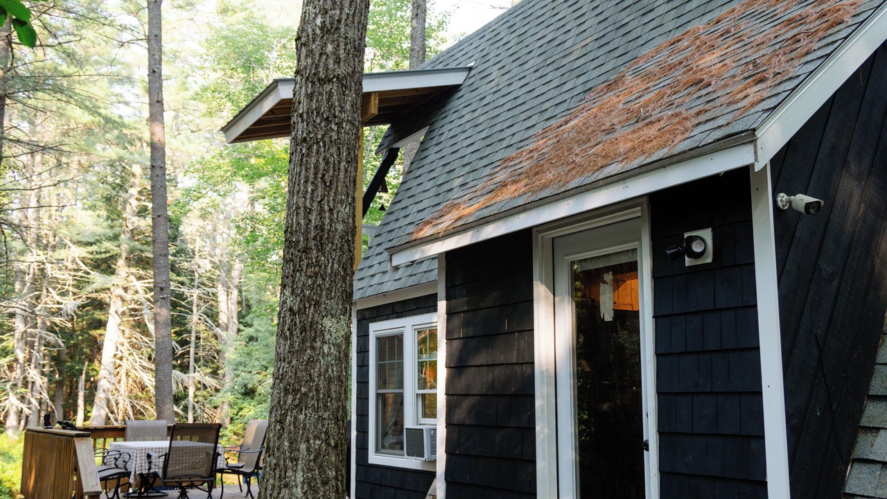 Photo of Outdoor in South Casco
