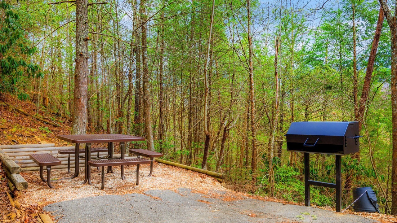 Photo of Outdoor in Pittman Center