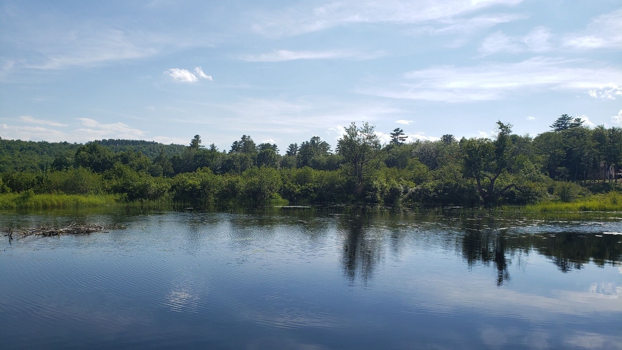 Photo of Others in East Corinth