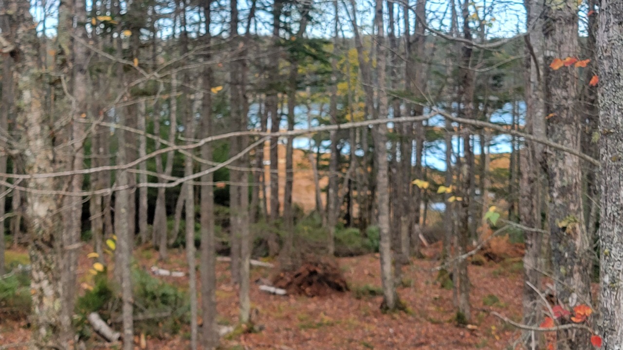 Photo of Others in Prospect Harbor