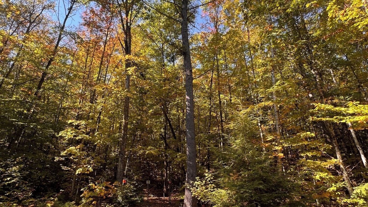 Photo of Others in Bridgton