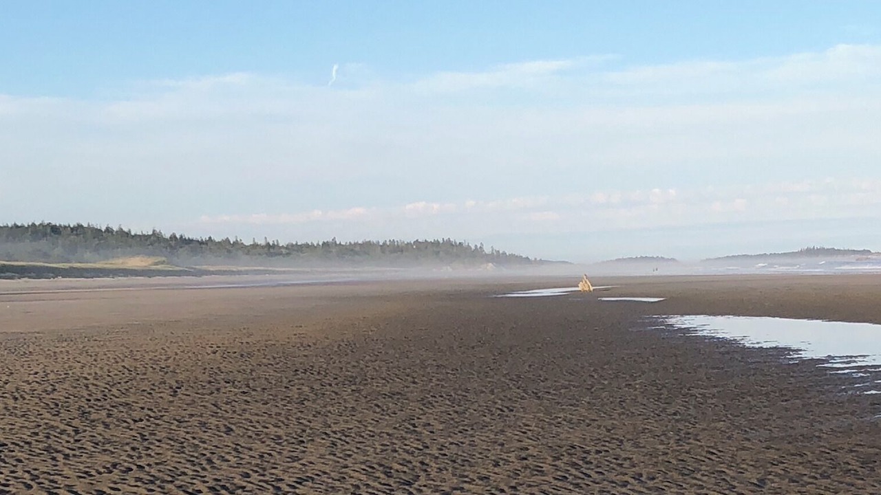 Photo of Others in Phippsburg