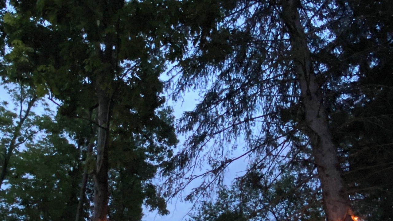 Photo of Outdoor in Hammondsport