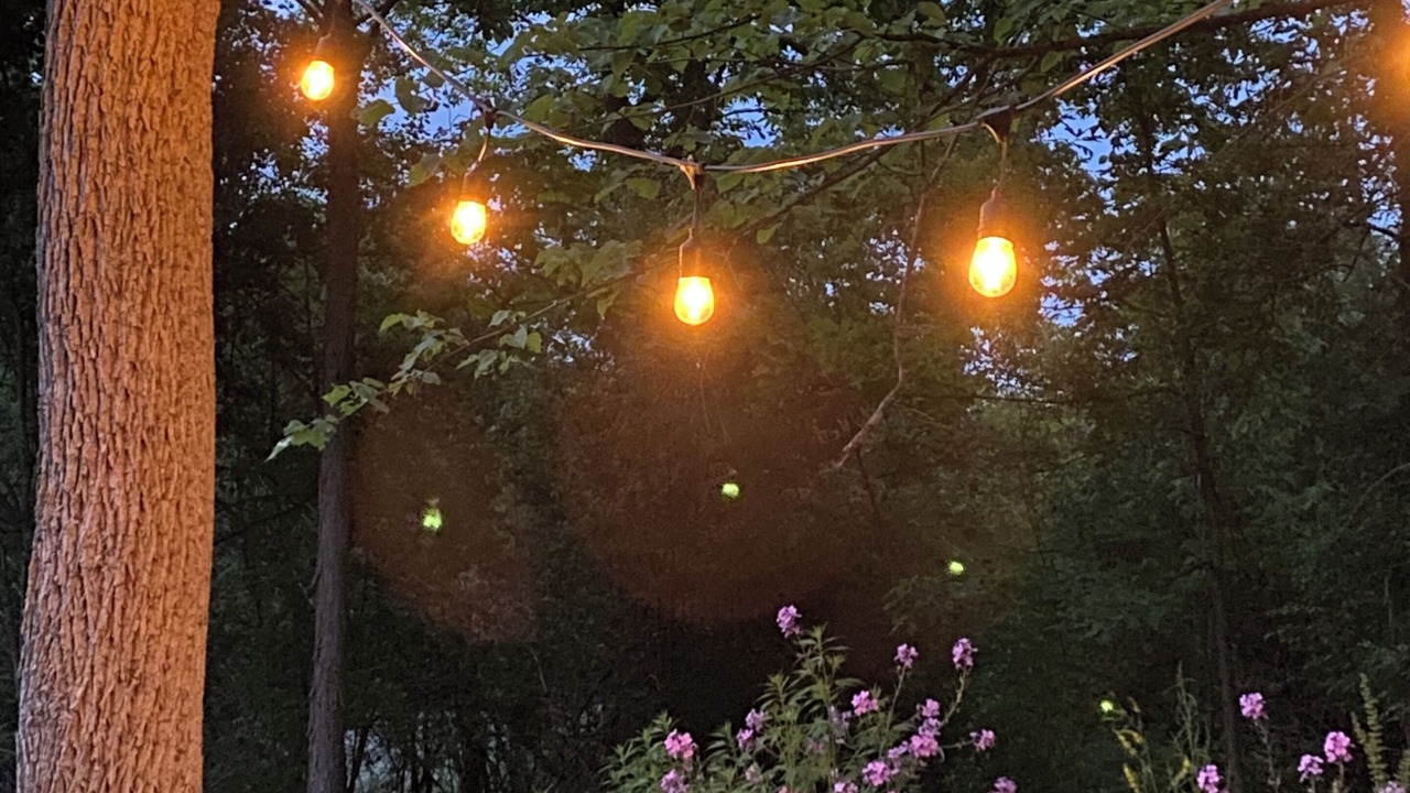 Photo of Outdoor in Hammondsport