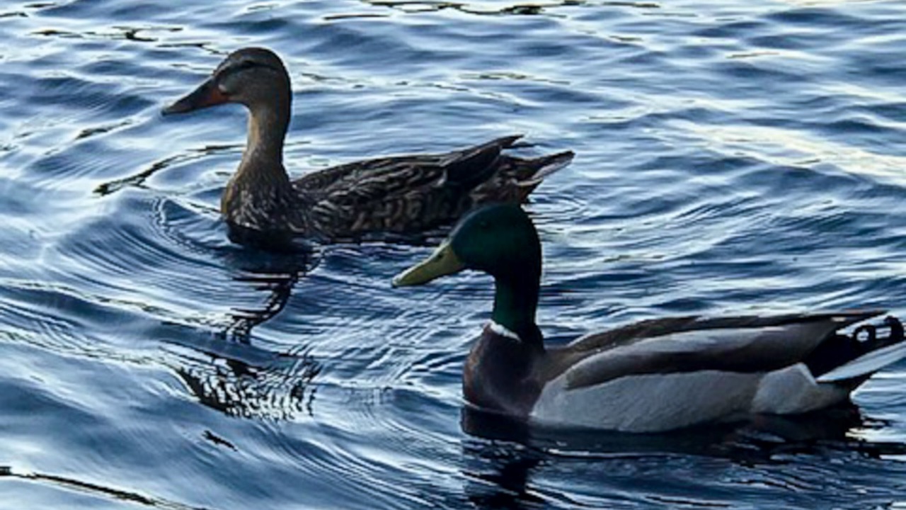 Photo of Others in Bremen