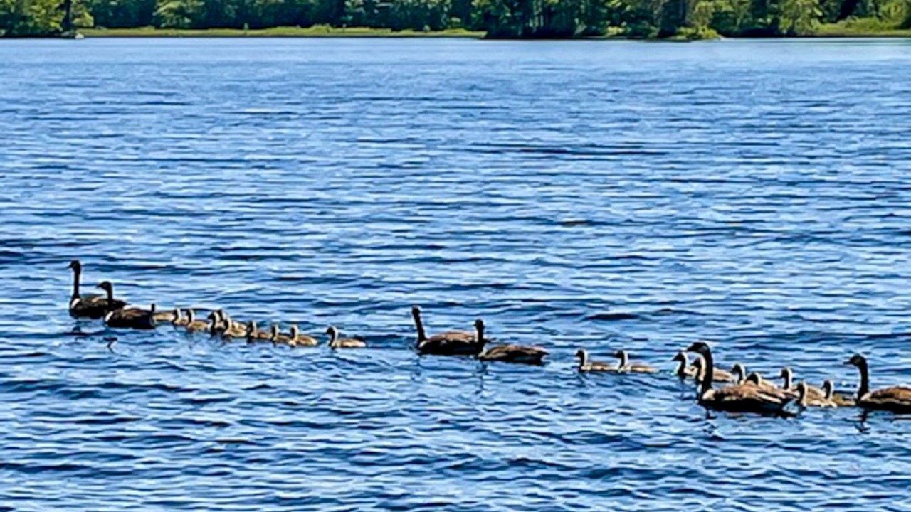 Photo of Others in Bremen