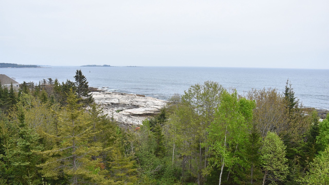 Photo of Others in Ocean Point
