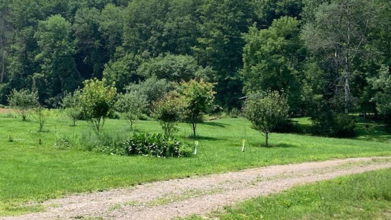 Photo of Others in Dale