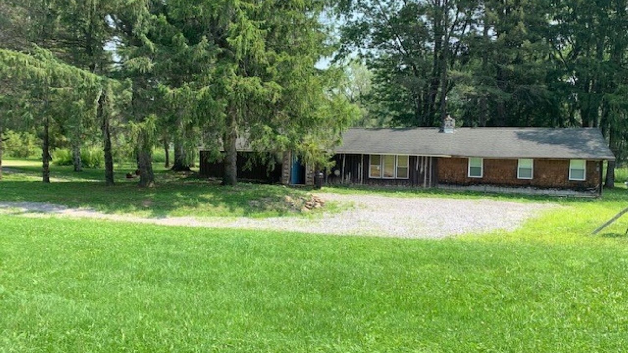 Photo of Outdoor in Dale