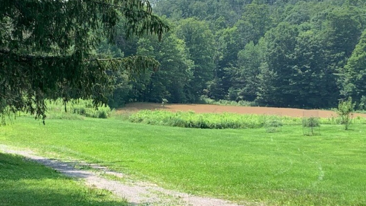 Photo of Others in Dale
