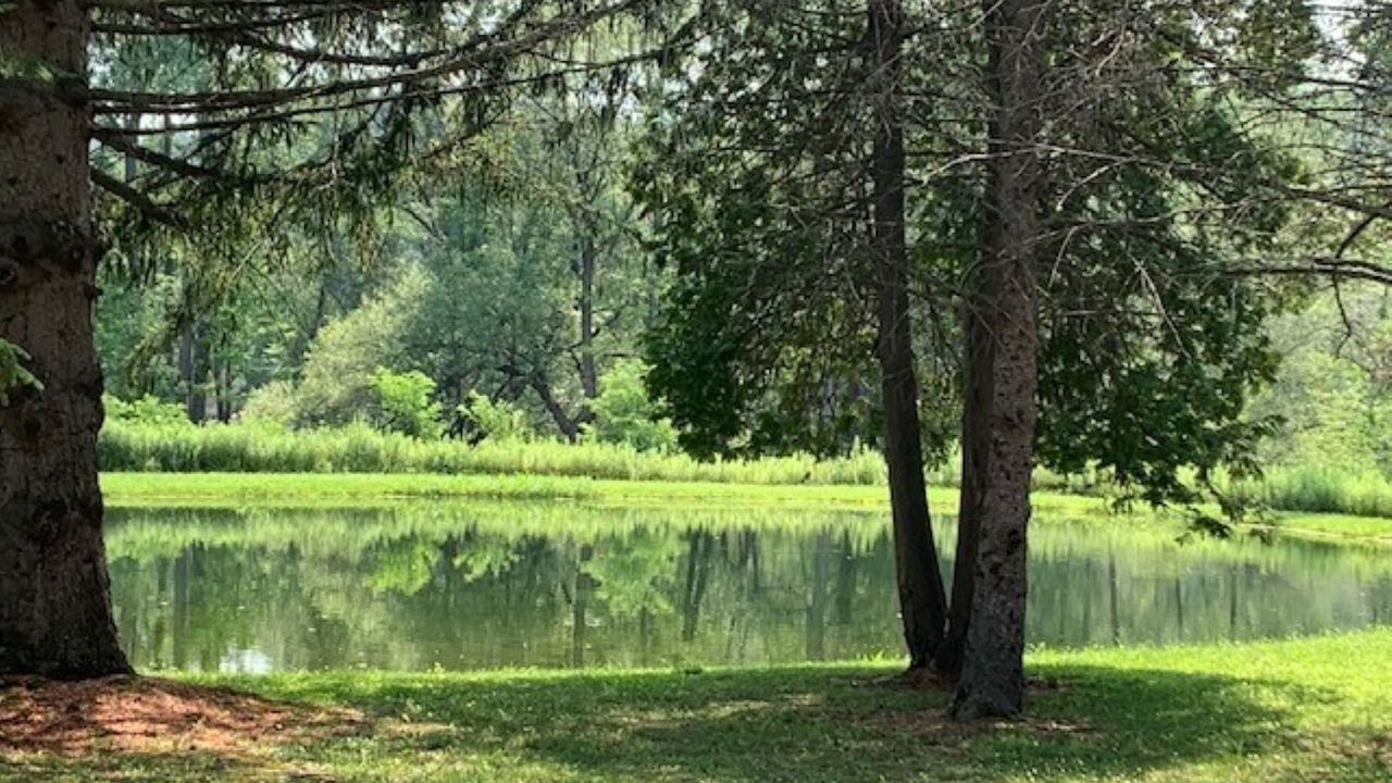 Photo of Others in Dale