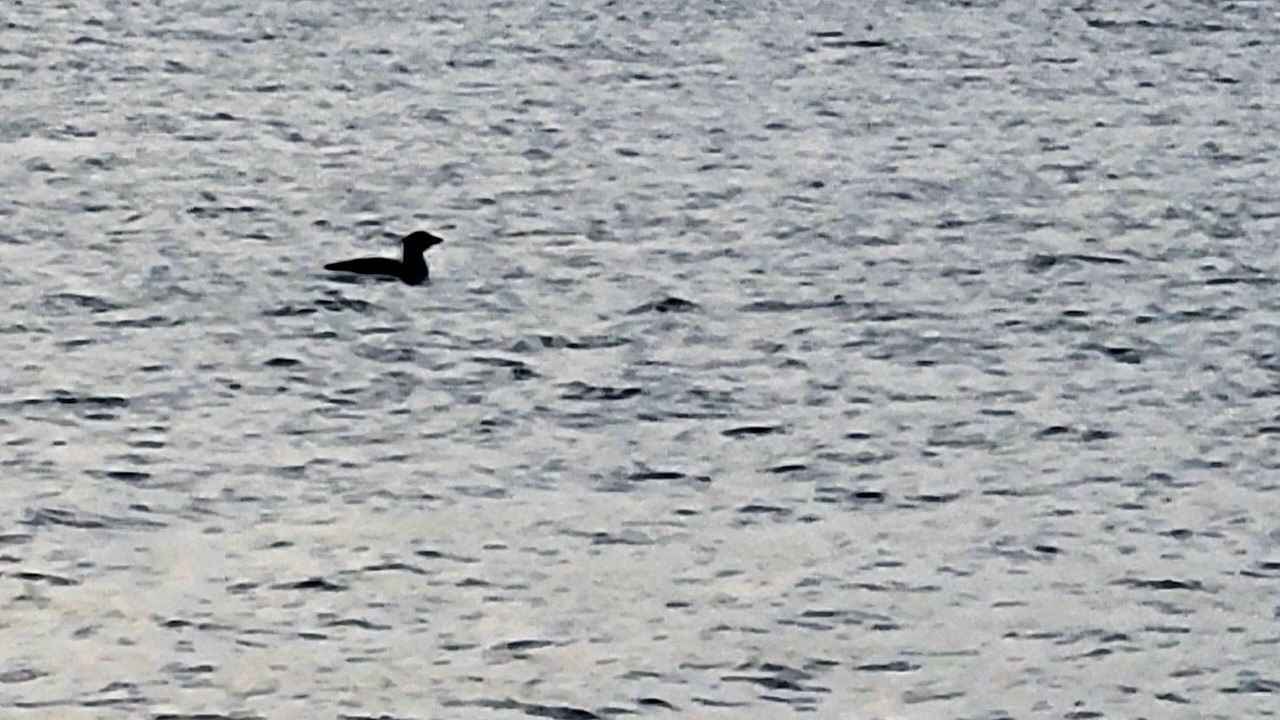 Photo of Others in Averill