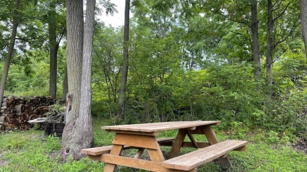 Photo of Outdoor in Teall Beach