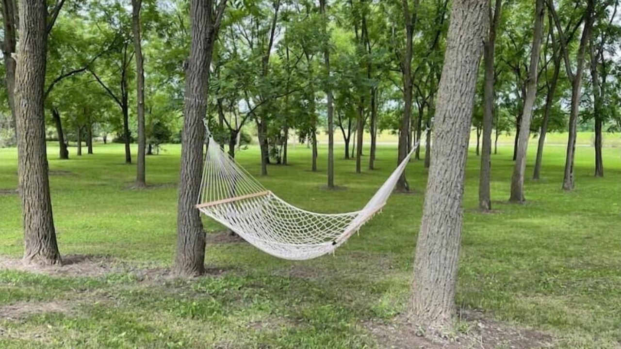 Photo of Outdoor in Teall Beach