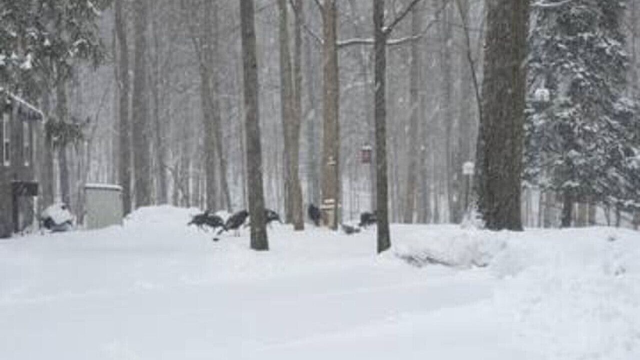 Photo of Others in Streetsboro
