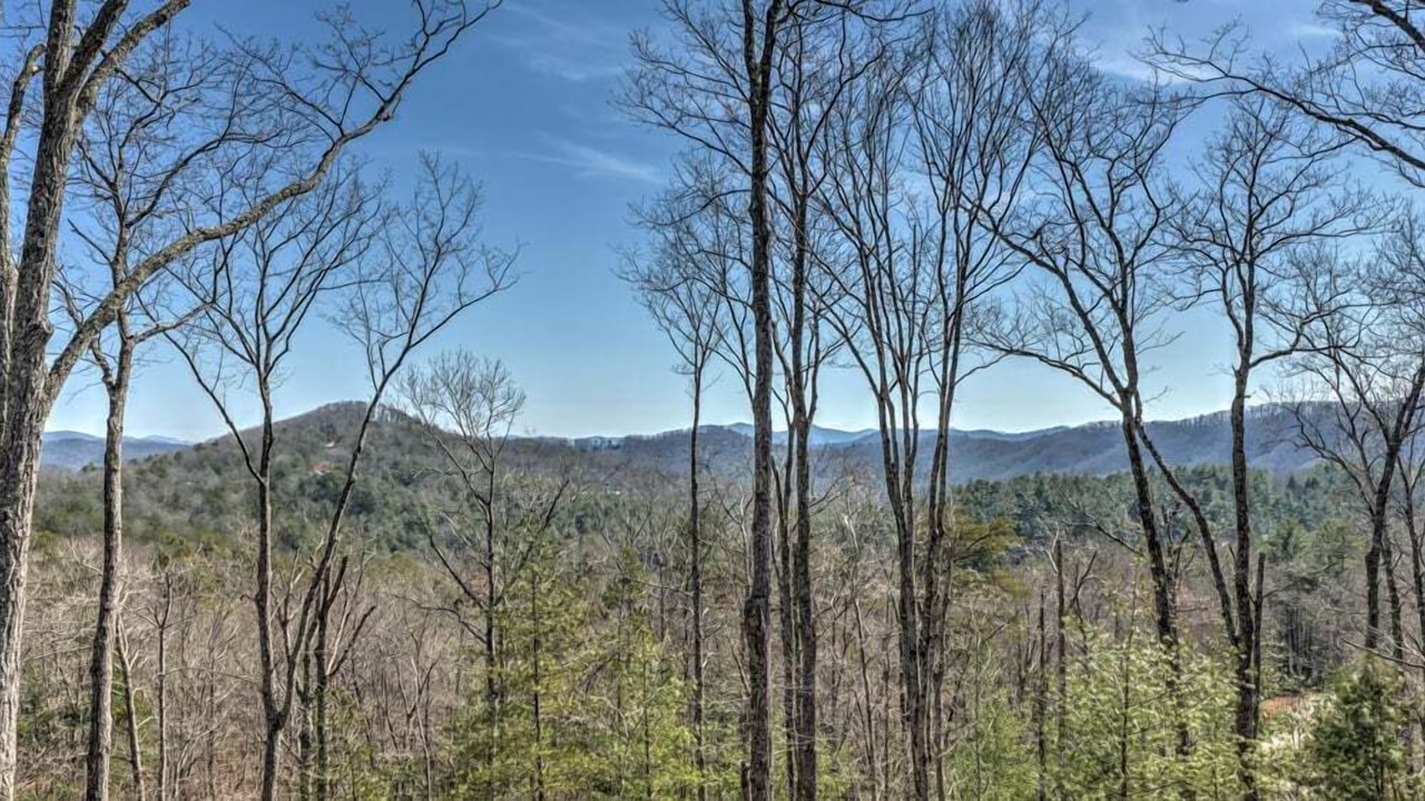 Photo of Others in Raccoon Ridge