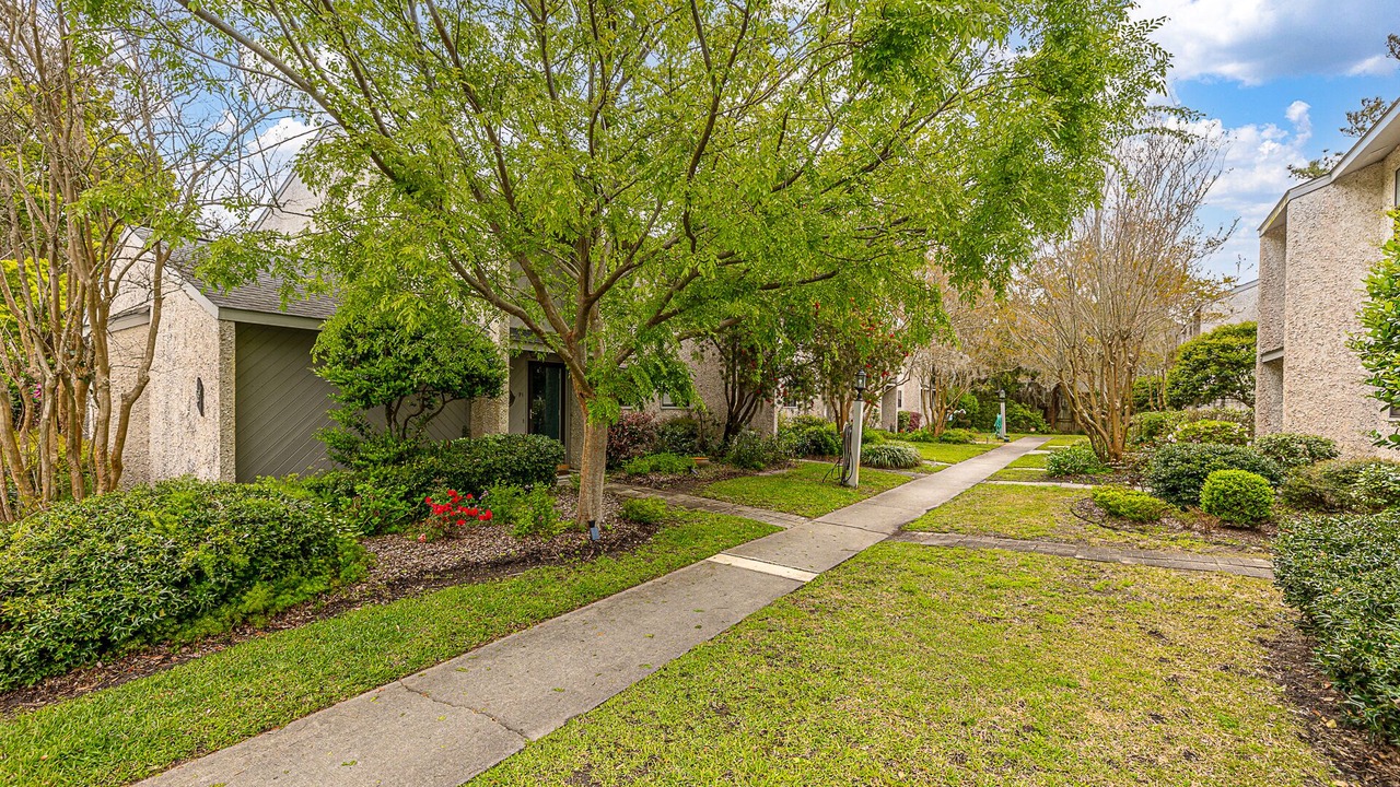 Photo of Outdoor in Saint Simons Island