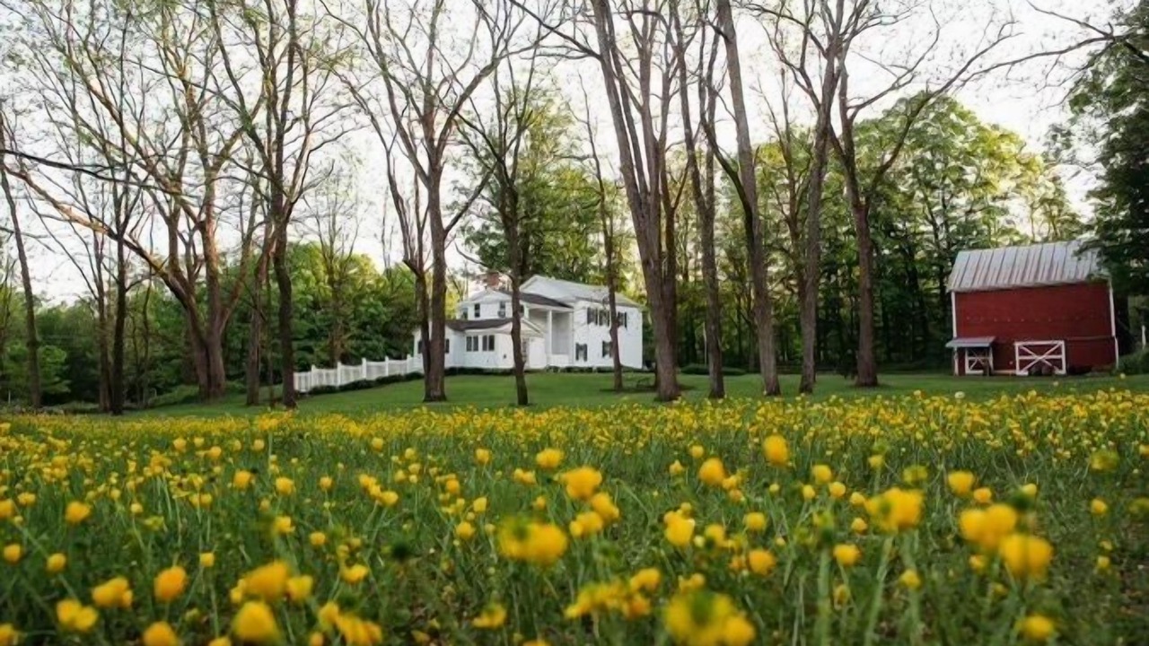 Photo of Outdoor in Greenfield Center