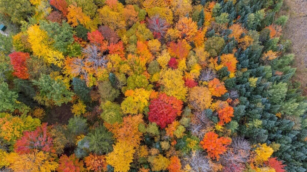 Photo of Others in Twin Mountain