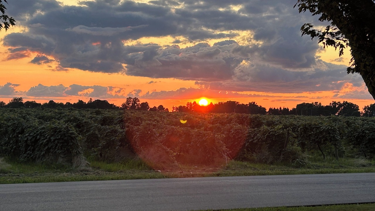 Photo of Outdoor in North East