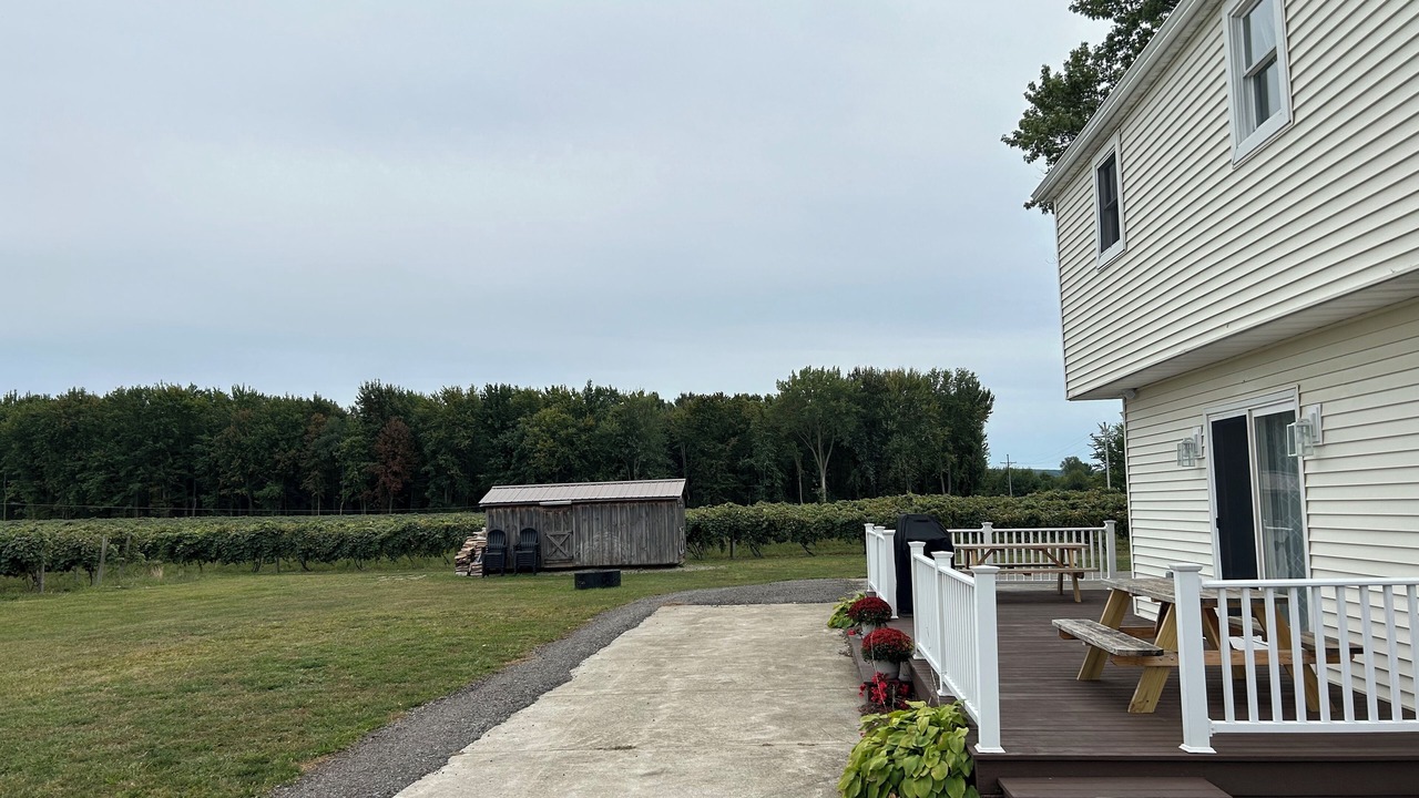 Photo of Outdoor in North East