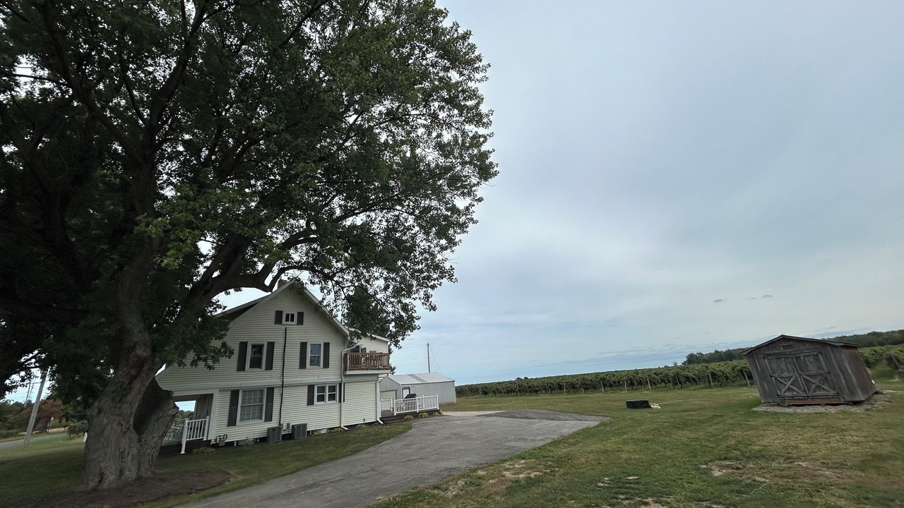 Photo of Outdoor in North East