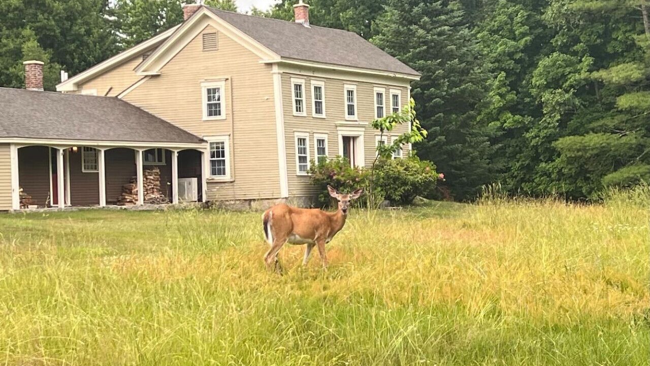 Photo of Outdoor in Fryeburg