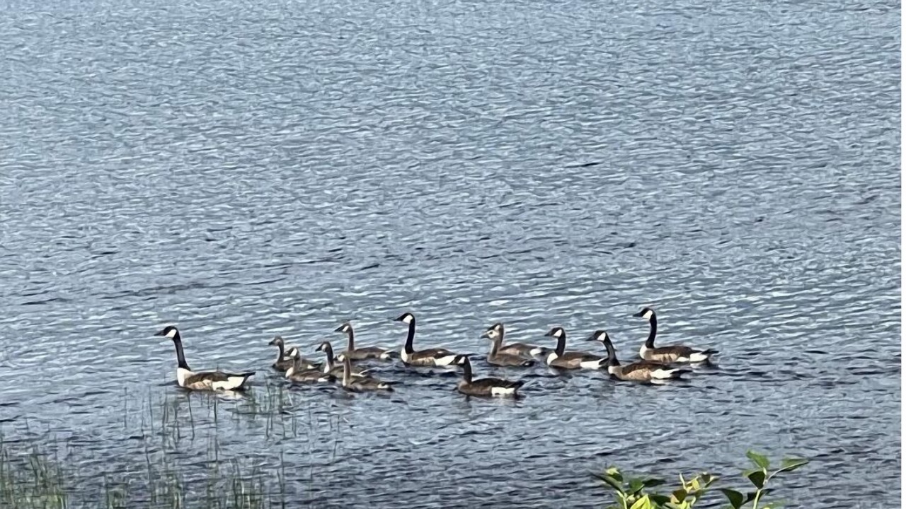 Photo of Others in Canaan