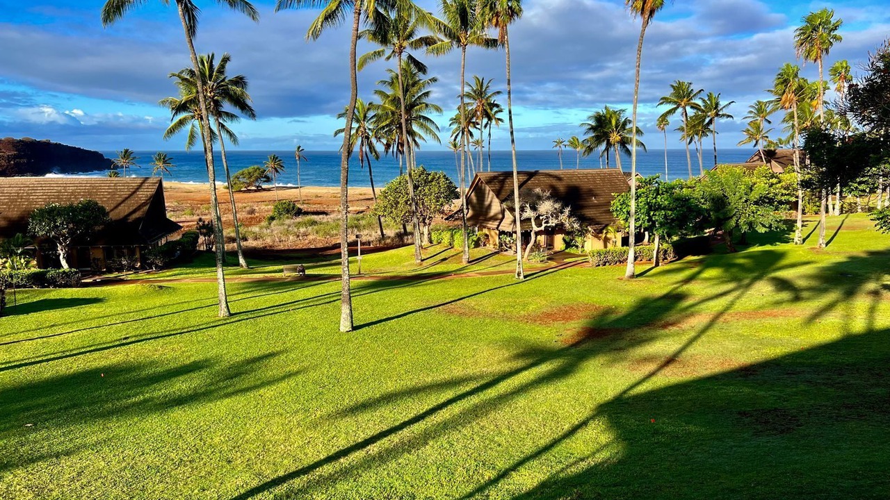 Photo of Outdoor in Maunaloa