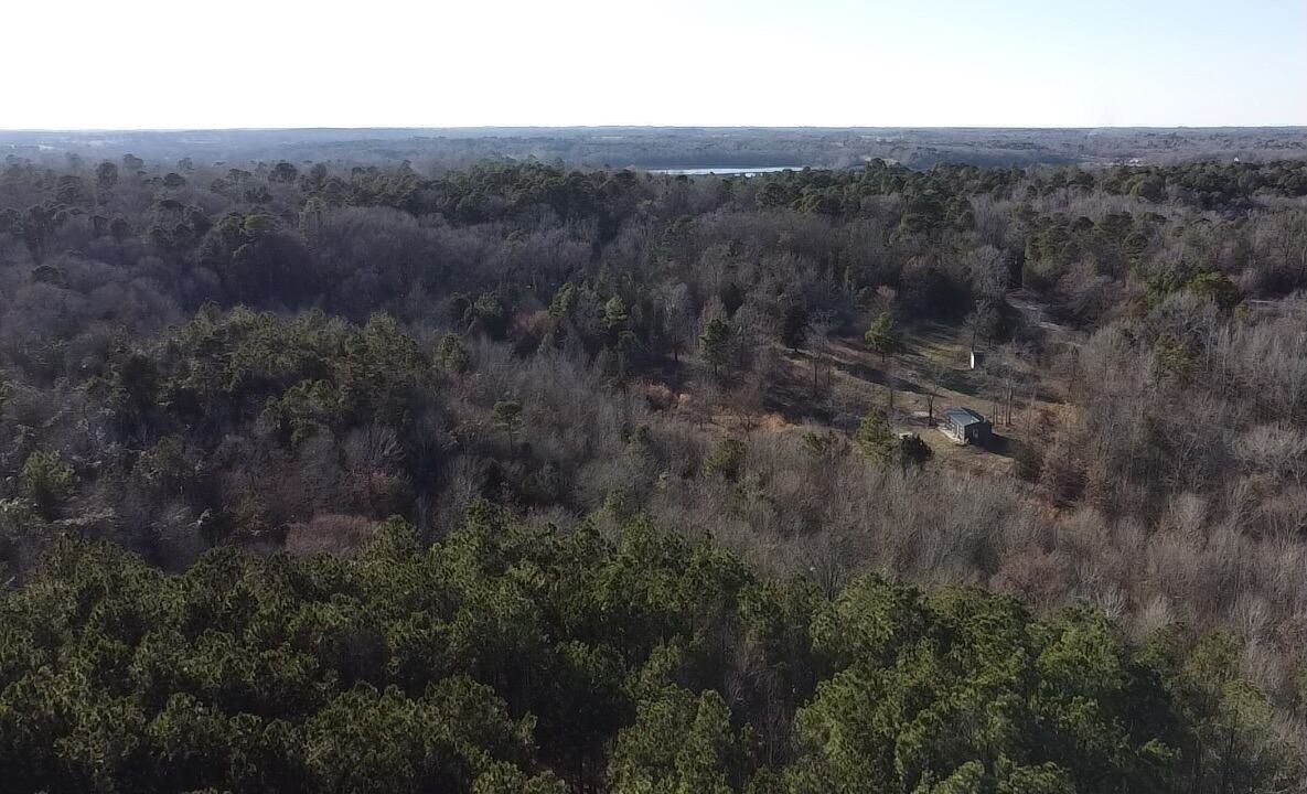 Photo of Outdoor in Dogwood