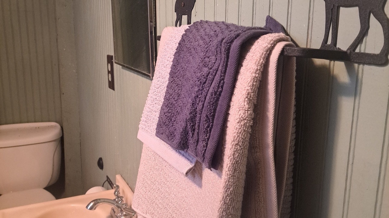 Photo of Bathroom in Olmstedville
