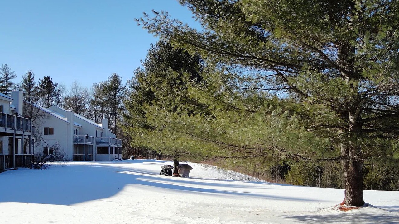 Photo of Outdoor in Center Conway