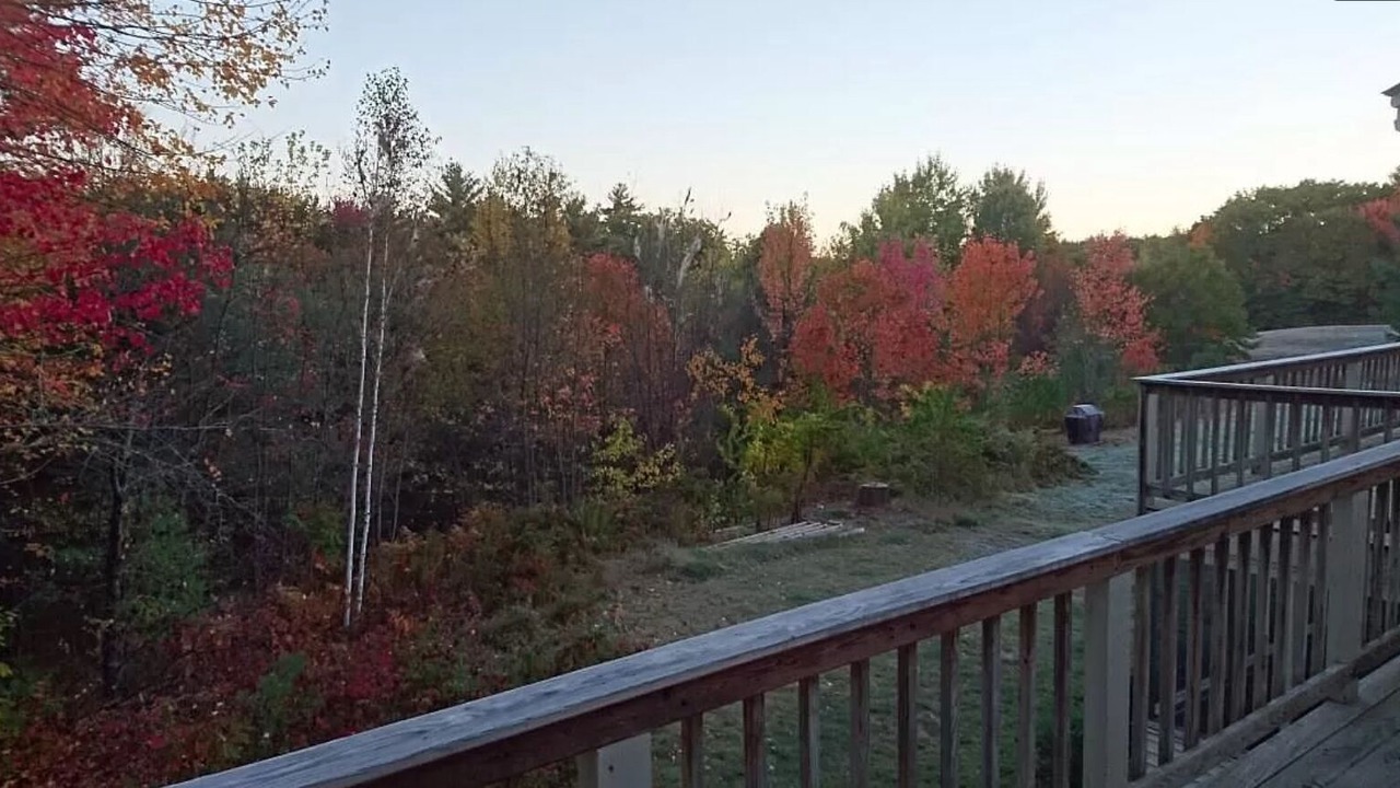 Photo of Outdoor in Center Conway