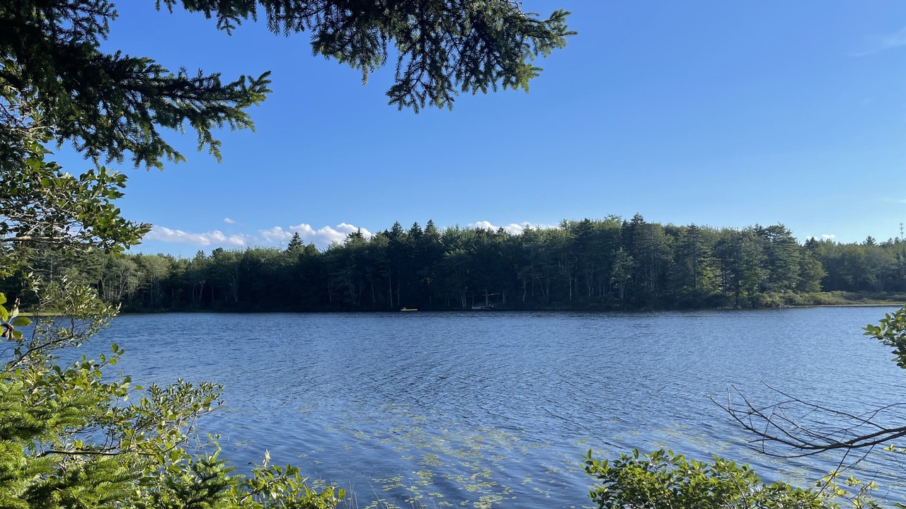 Photo of Others in Gouldsboro