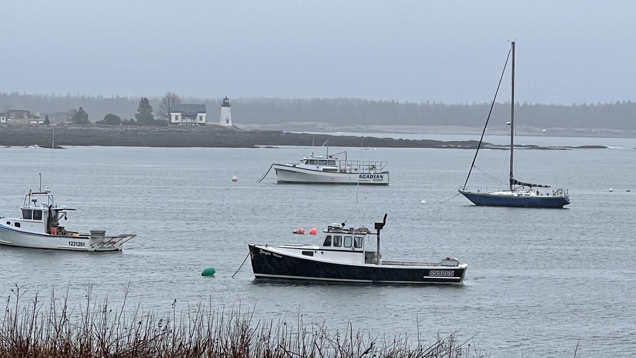 Photo of Others in Gouldsboro