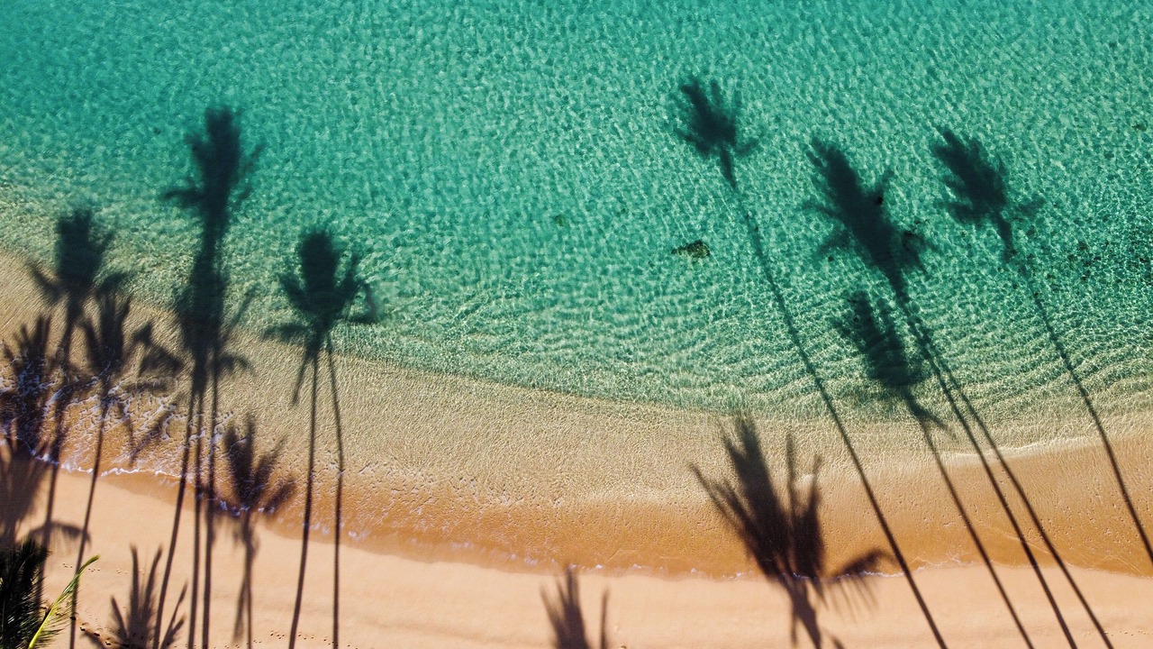 Photo of Others in Napili
