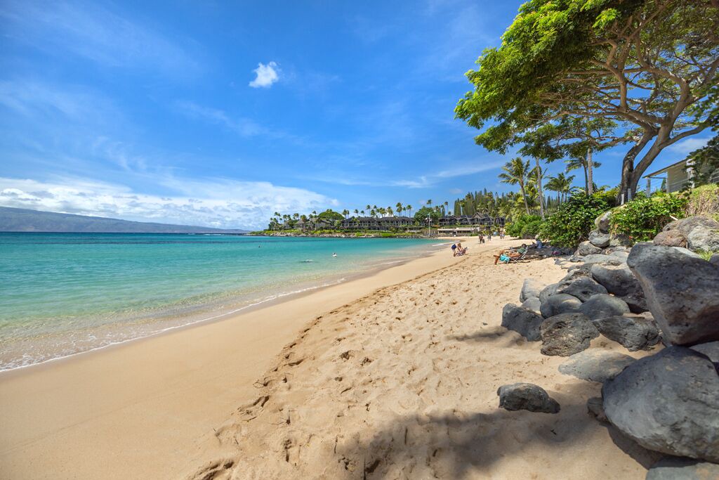 Photo of Others in Napili