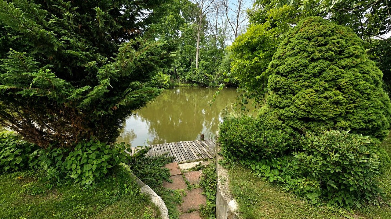 Photo of Outdoor in Tonawanda