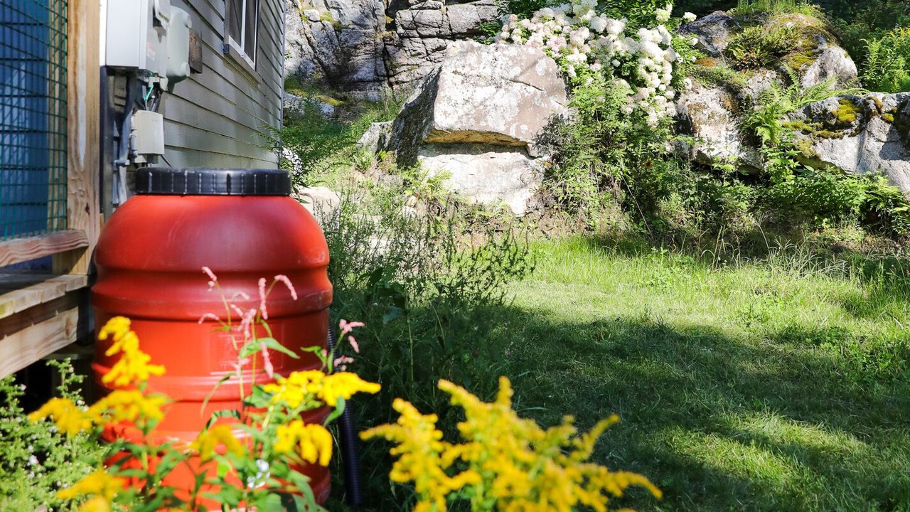 Photo of Outdoor in Waldoboro