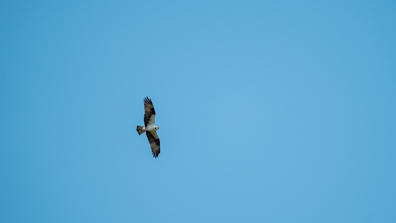 Photo of Others in Waldoboro