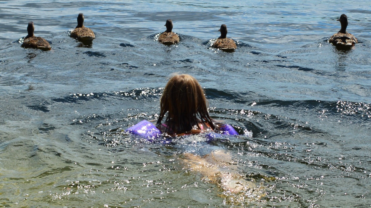 Photo of Others in Bridgton