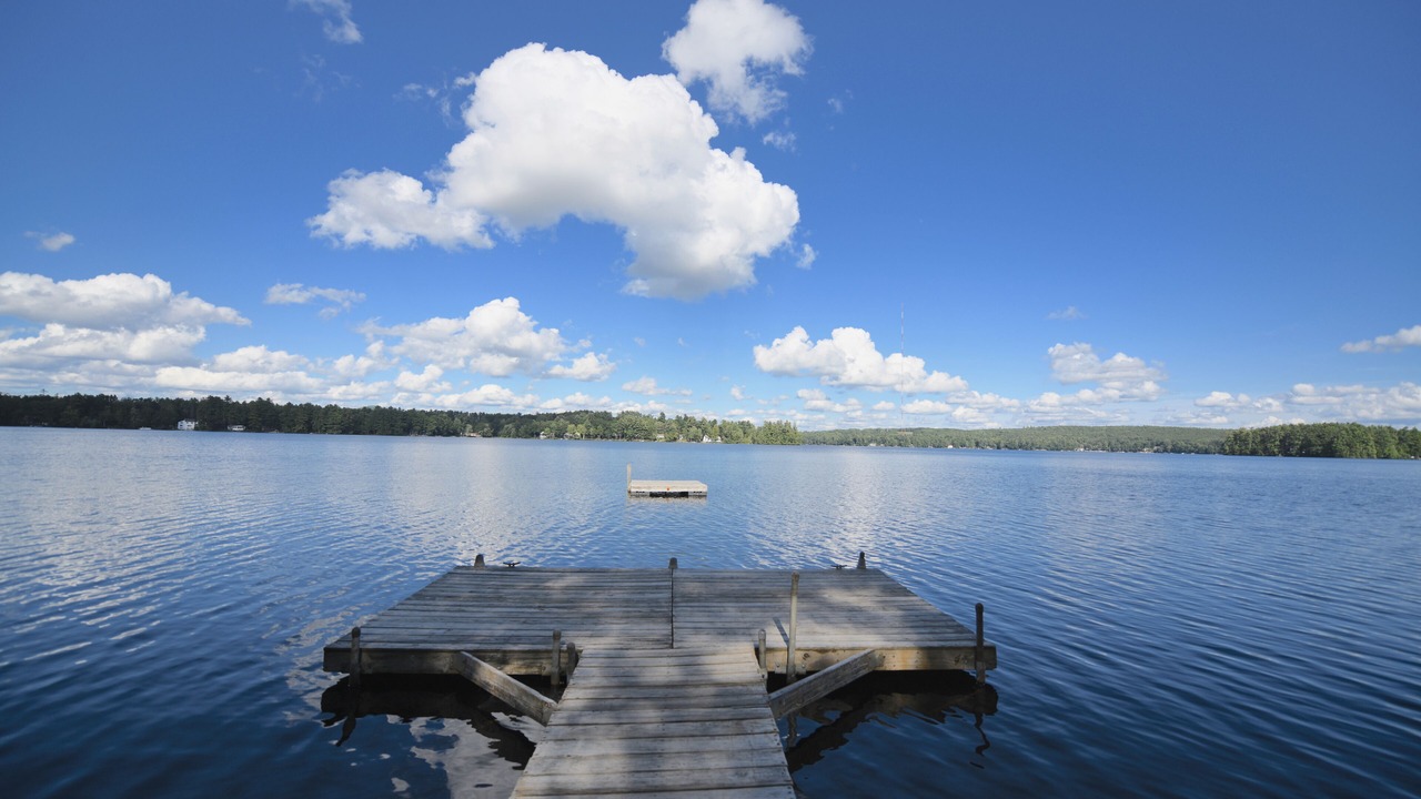 Photo of Others in South Casco