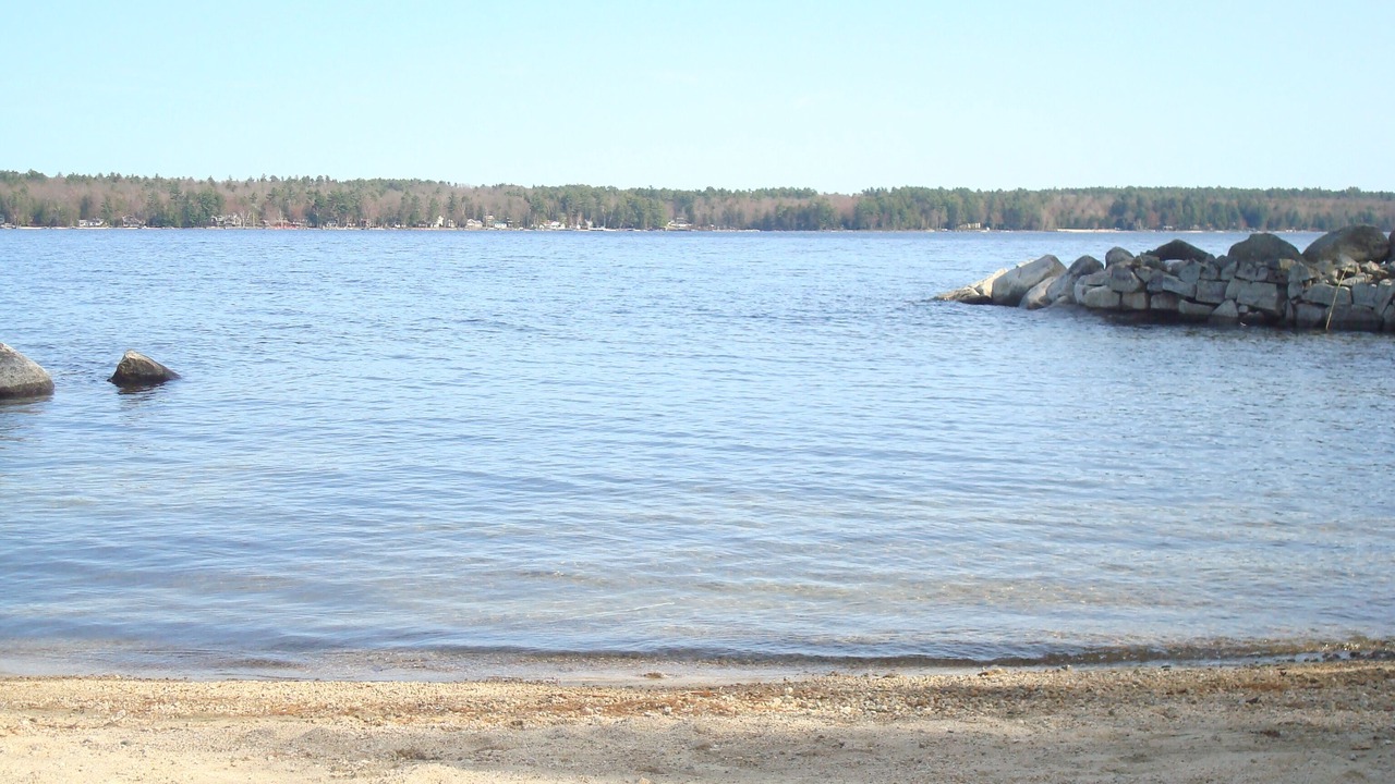 Photo of Others in South Casco