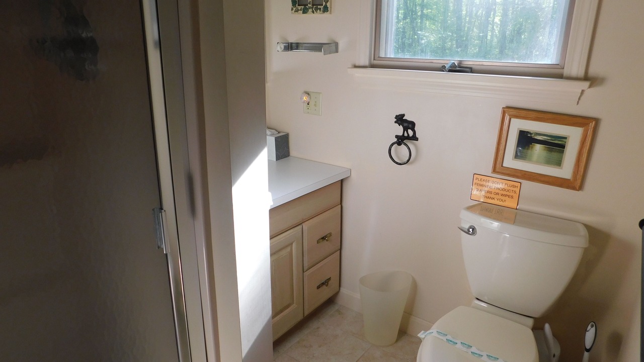Photo of Bathroom in South Casco